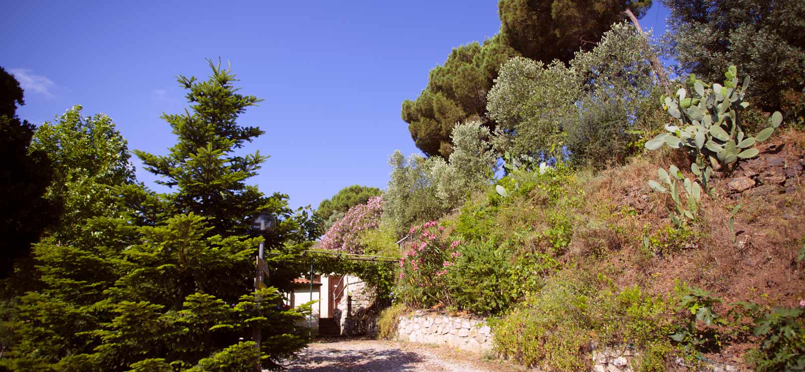 The entrance to La Lecciola