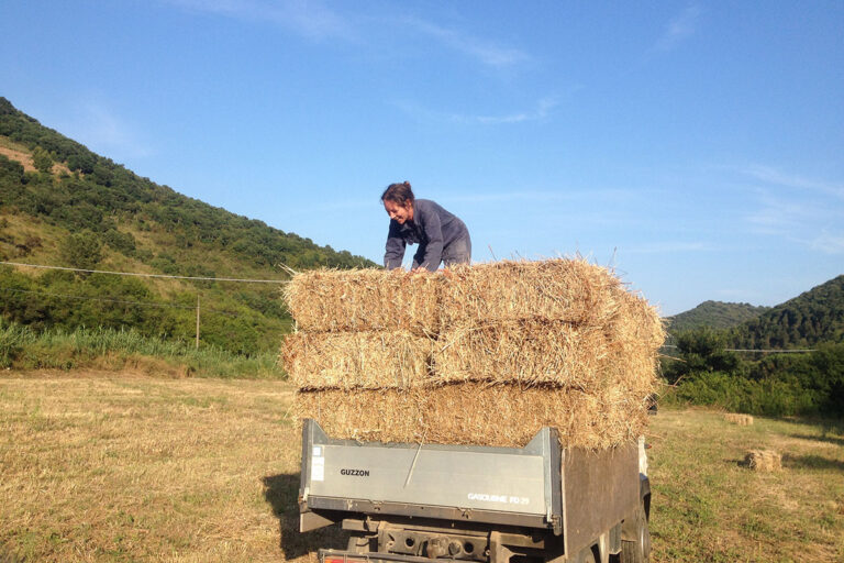 Azienda Agricola La Lecciola