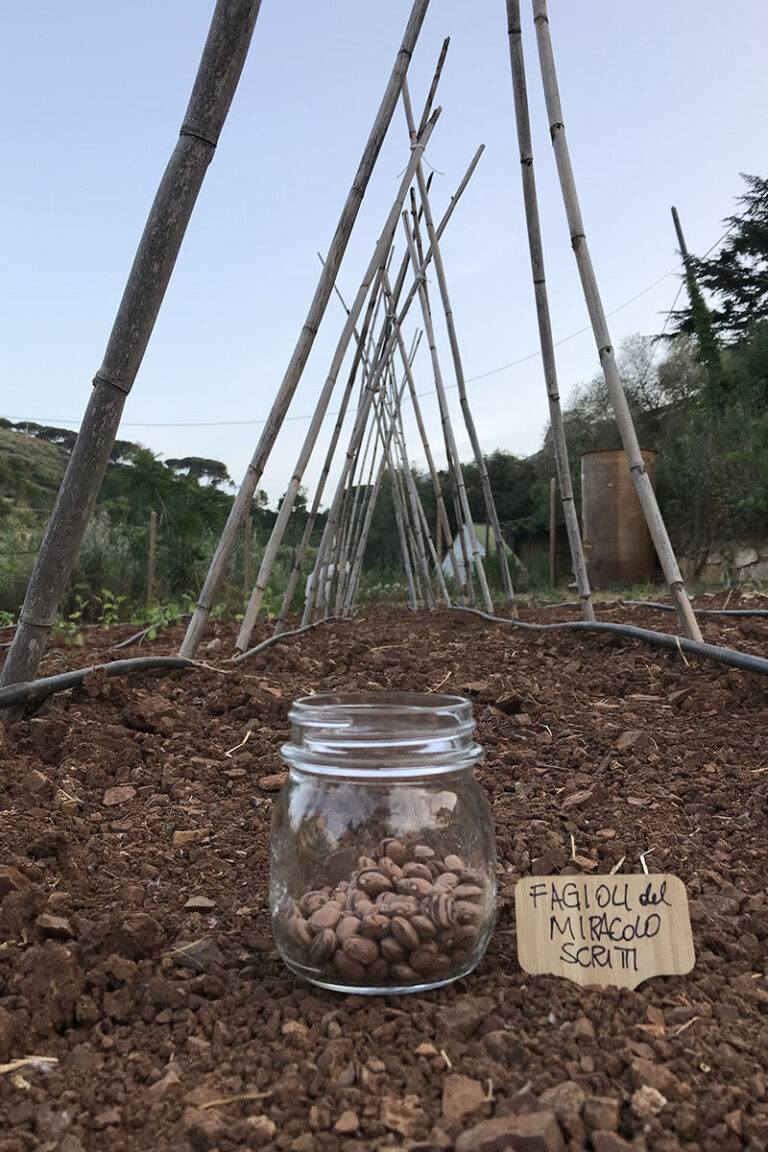 Agricoltori Custodi